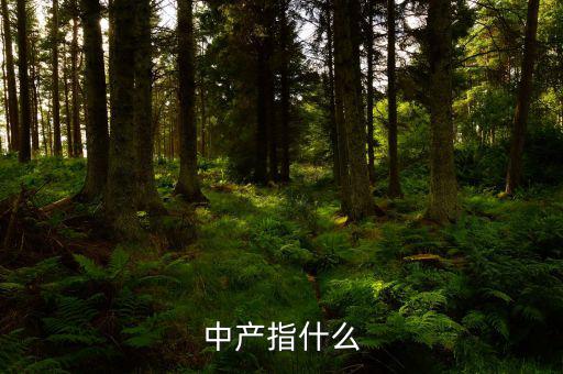 中產消費什么，網易電商平臺帶給中產消費者的核心價值是什么