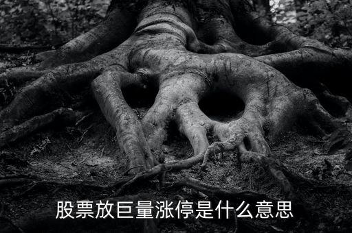 放巨量漲停意味著什么，放巨量拉漲停板說明什么