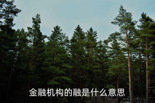 金融機構的融是什么意思，融資中的融是什么意思
