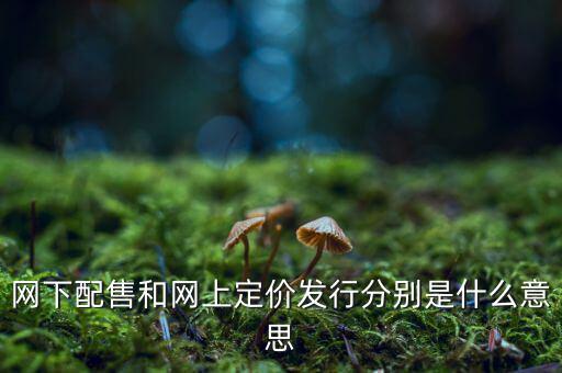 網下配售和網上定價發行分別是什么意思
