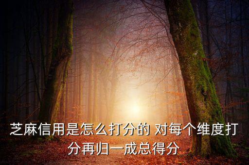 芝麻信用評分依據是什么，芝麻信用以什么依據評分