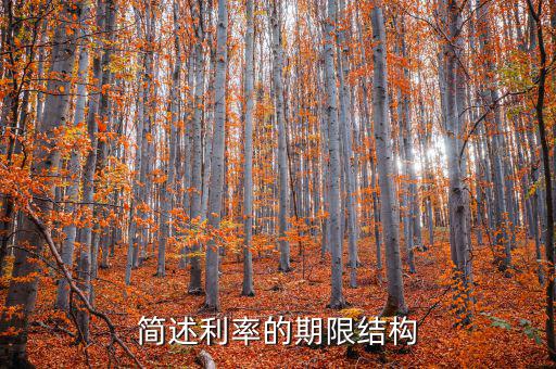 簡述利率的期限結構