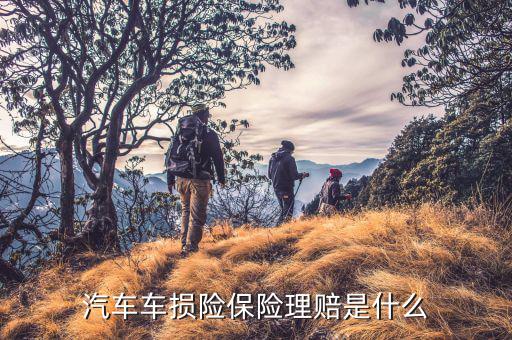 車損險都賠什么，車損險涉及到哪些賠償