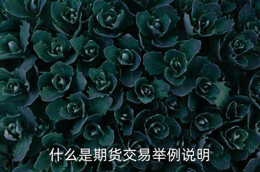 期權期貨是什么意思，期權與期貨是什么意思