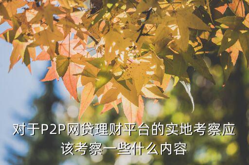 對于P2P網(wǎng)貸理財(cái)平臺的實(shí)地考察應(yīng)該考察一些什么內(nèi)容