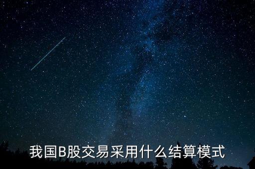 三板b股用什么結算，B股是必須用美元結算