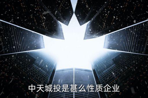 中天城投是甚么性質企業