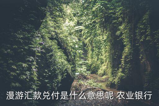 漫游匯款兌付是什么意思呢 農業銀行