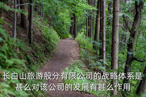 長白山旅游股分有限公司的戰略體系是甚么對該公司的發展有甚么作用