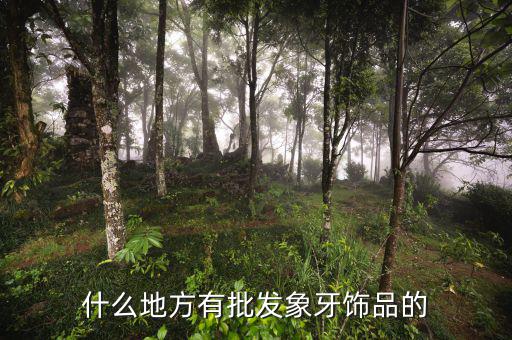什么地方有批發象牙飾品的