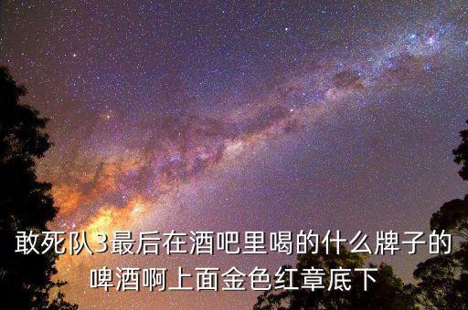敢死隊3喝的什么啤酒，敢死隊3酒吧里吃的這是什么