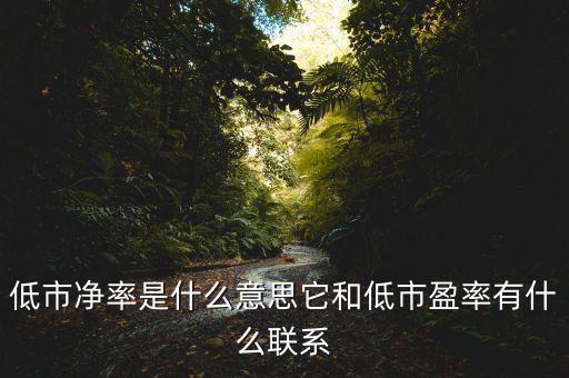 低市凈率是什么意思它和低市盈率有什么聯系