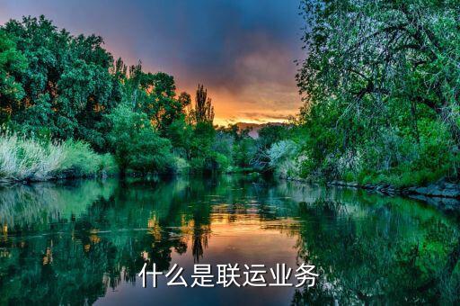什么是聯運業務