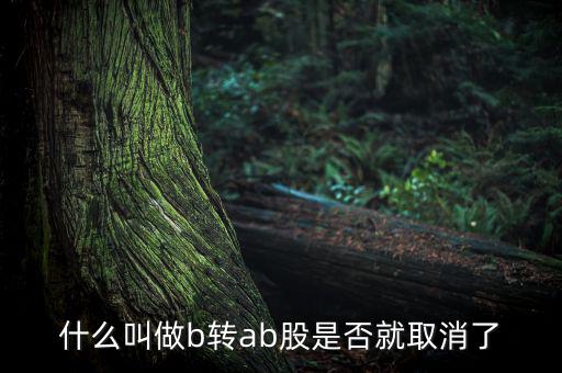 什么叫做b轉ab股是否就取消了