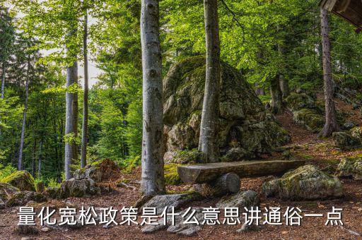 量化寬松政策是什么意思，什么叫做量化寬松政策