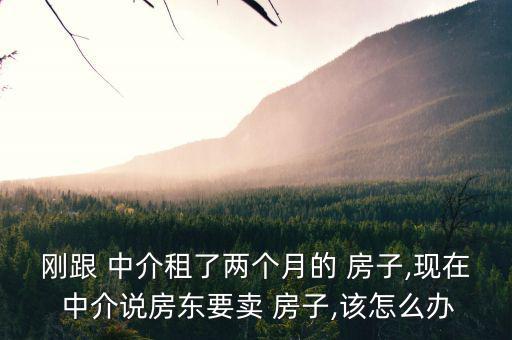 中介誘賣房子怎么辦,業主帶租約出售房產有責任告知買家租期