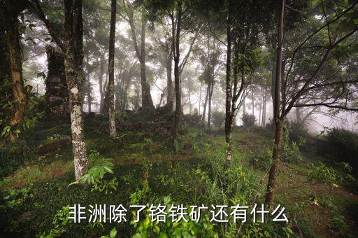 非洲有什么礦產資源，非洲哪些礦產豐富