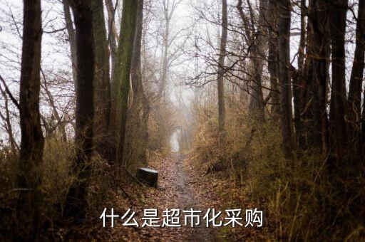 超市化采購什么意思，什么是超市化采購