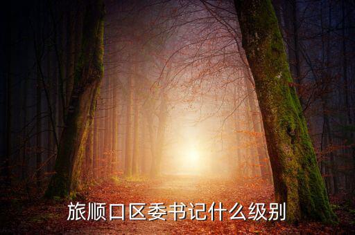 黃潤秋什么級別，中林集團董事長是什么行政級別