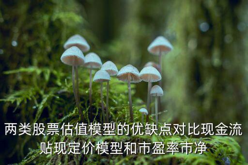 兩類股票估值模型的優缺點對比現金流貼現定價模型和市盈率市凈