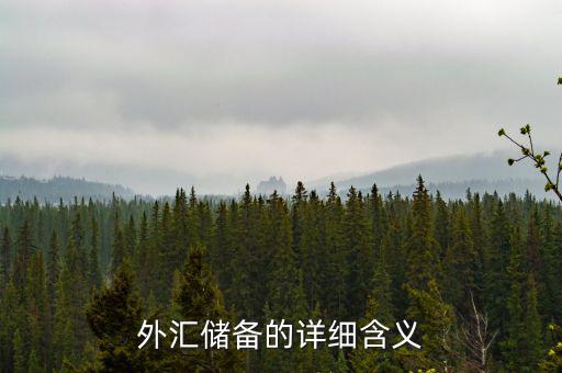 外匯儲備包括什么，外匯儲備指什么是用黃金或紙幣來儲備