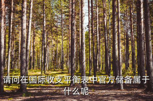 官方儲備資產(chǎn)包括什么，官方儲備資產(chǎn)包括固定資產(chǎn)嗎