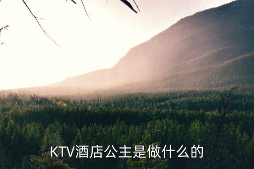 酒店出臺是干什么的，KTV酒店公主是做什么的