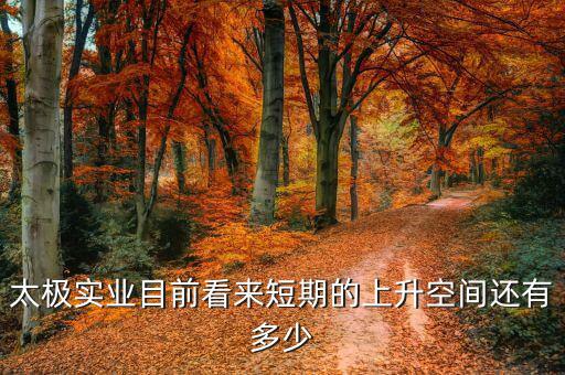 紫江沈臻現在干什么，紫江企業后市如何