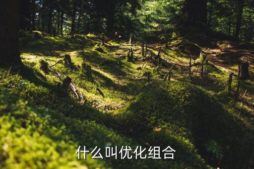 優化重組是什么書，什么叫優化組合