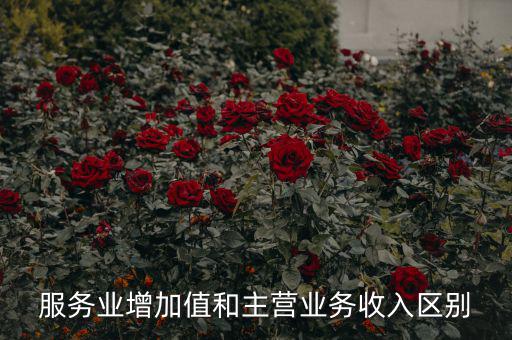 服務業增加值和主營業務收入區別