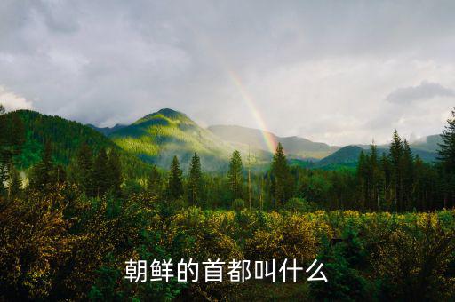 朝鮮總統府叫什么，朝鮮元首有專門的住所嗎有的話在哪