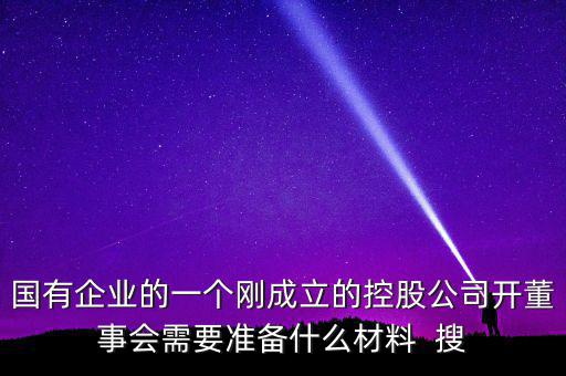 國有企業的一個剛成立的控股公司開董事會需要準備什么材料  搜