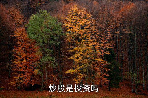 炒股算投資還是什么，炒股是投資嗎