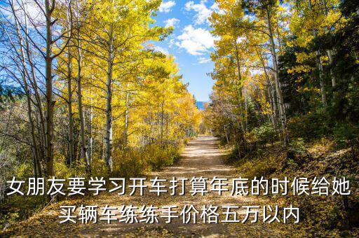 600635后面的符號是什么意思，女朋友要學習開車打算年底的時候給她買輛車練練手價格五萬以內