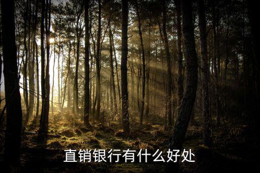 浦發直銷銀行能干什么，銀行直銷部是做什么的