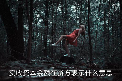 什么是資本余額，什么是資本性資金誰知道請告訴我謝謝
