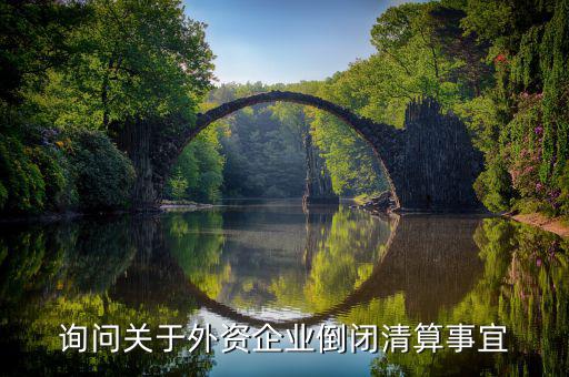 沈陽投資公司跑路市政府什么解決，詢問關于外資企業倒閉清算事宜