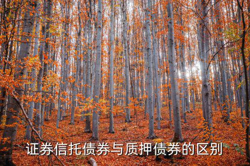 證券信托債券與質押債券的區別