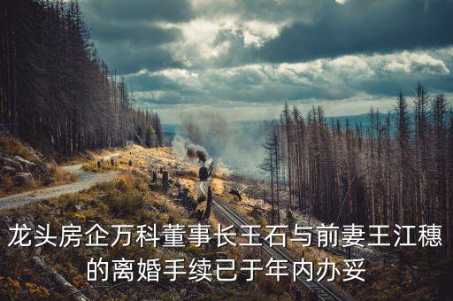 王石什么時候離婚的，龍頭房企萬科董事長王石與前妻王江穗的離婚手續已于年內辦妥