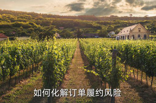 什么訂單執行風險，淘寶訂單險的問題