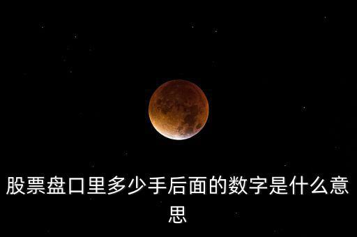 股票盤口里多少手后面的數字是什么意思