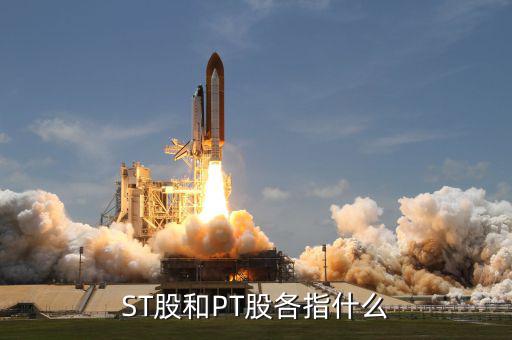 什么叫pt股，股票中PT股代表什么意思