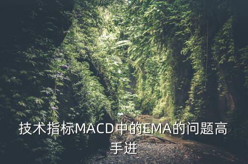 技術指標MACD中的EMA的問題高手進