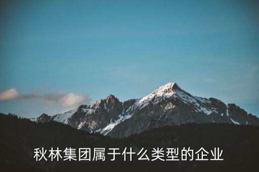 秋林集團是什么板塊，秋林集團屬于什么類型的企業