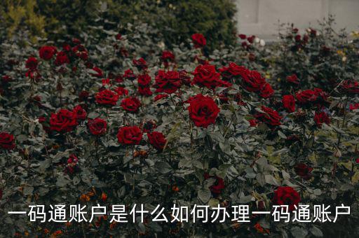 什么是一碼通賬戶，財達證券的一碼通賬戶是什么