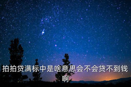 拍拍貨不滿標什么意思，拍拍貸滿標是什么意思