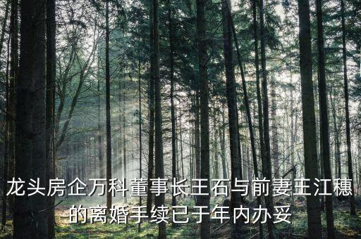 龍頭房企萬科董事長王石與前妻王江穗的離婚手續已于年內辦妥