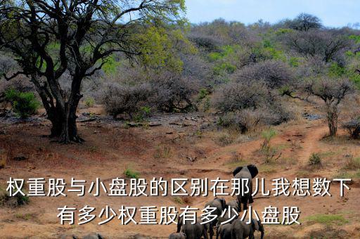 權重股與小盤股的區別在那兒我想數下有多少權重股有多少小盤股