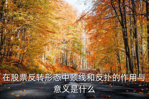 在股票反轉形態中頸線和反撲的作用與意義是什么