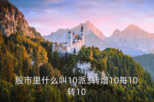 10送10派3是什么意思，10轉10派3是什么意思